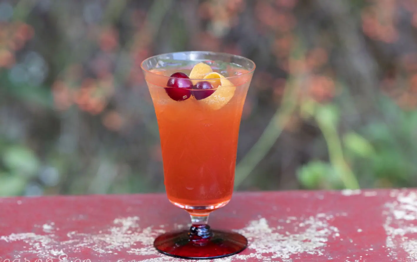 Pomegranate Spritz