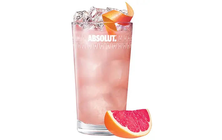 Absolut Greyhound
