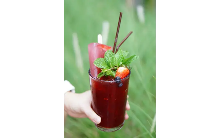 Blueberry Mojito with Popsicle Garnish