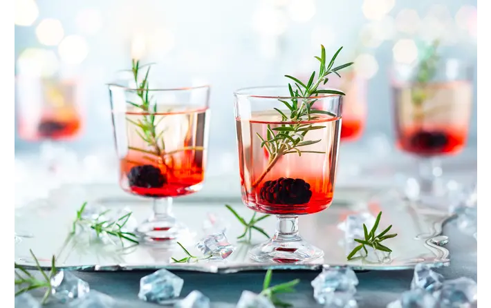 Winter Berry
