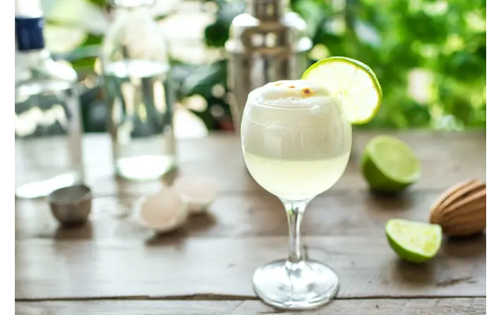Celeste's Gin Fizz