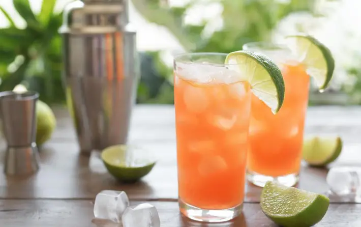 Tropical Appleton