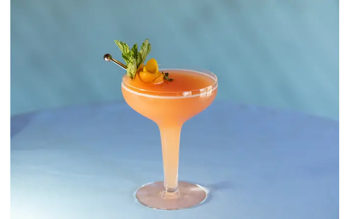 Apricot brandy sour with petal garnish. Recipe by Ethan Guillemette.