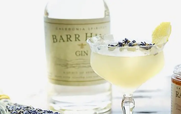 The Bee's Knees