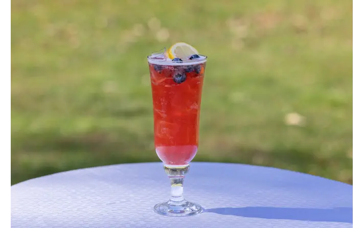 Blueberry lemonade cocktail