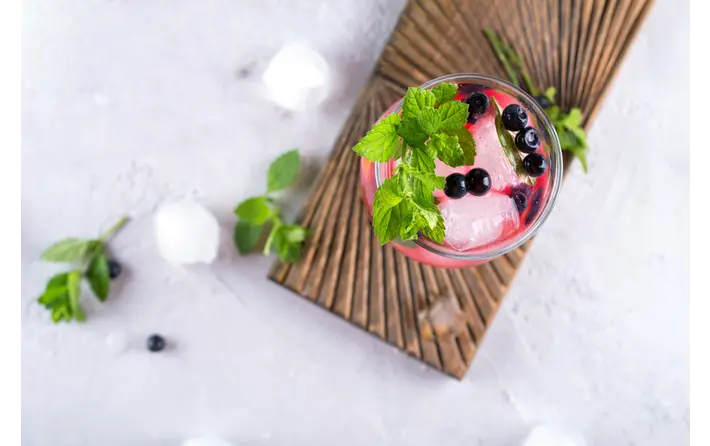 Lazy Day Maine Mojito