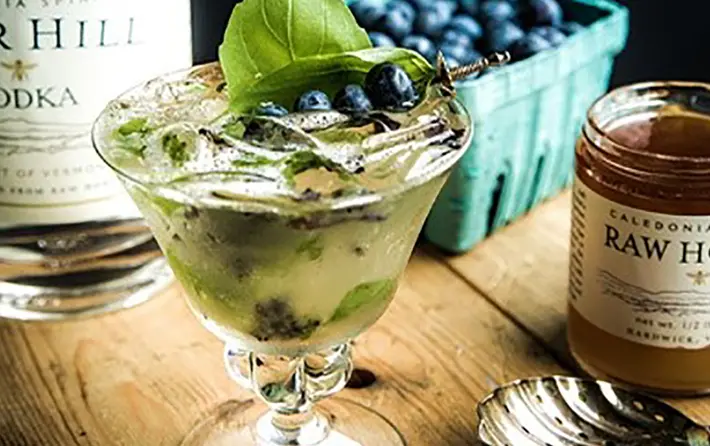 Blueberry Basil Vodka Club