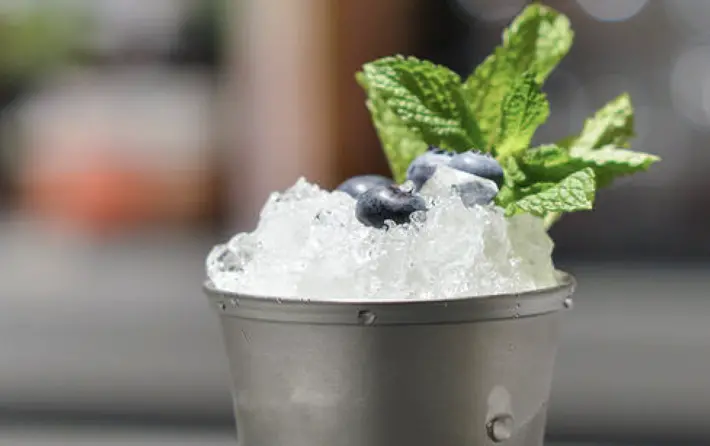 Jim Beam Twisted Julep