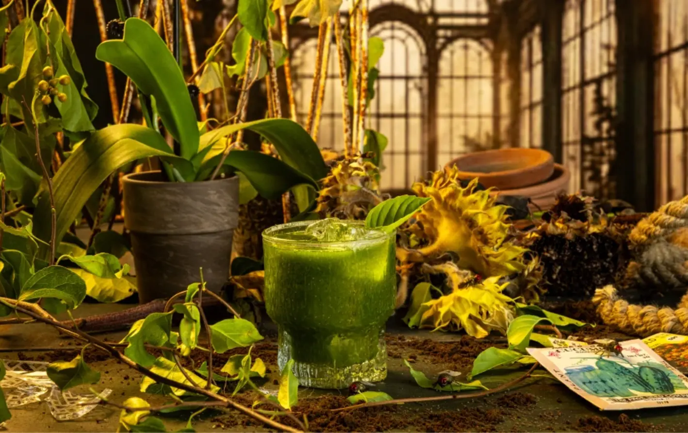 A green cocktail 