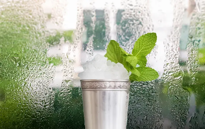 Rainy Day Mint Julep