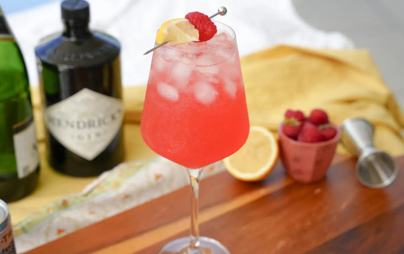 Raspberry Gin Spritz