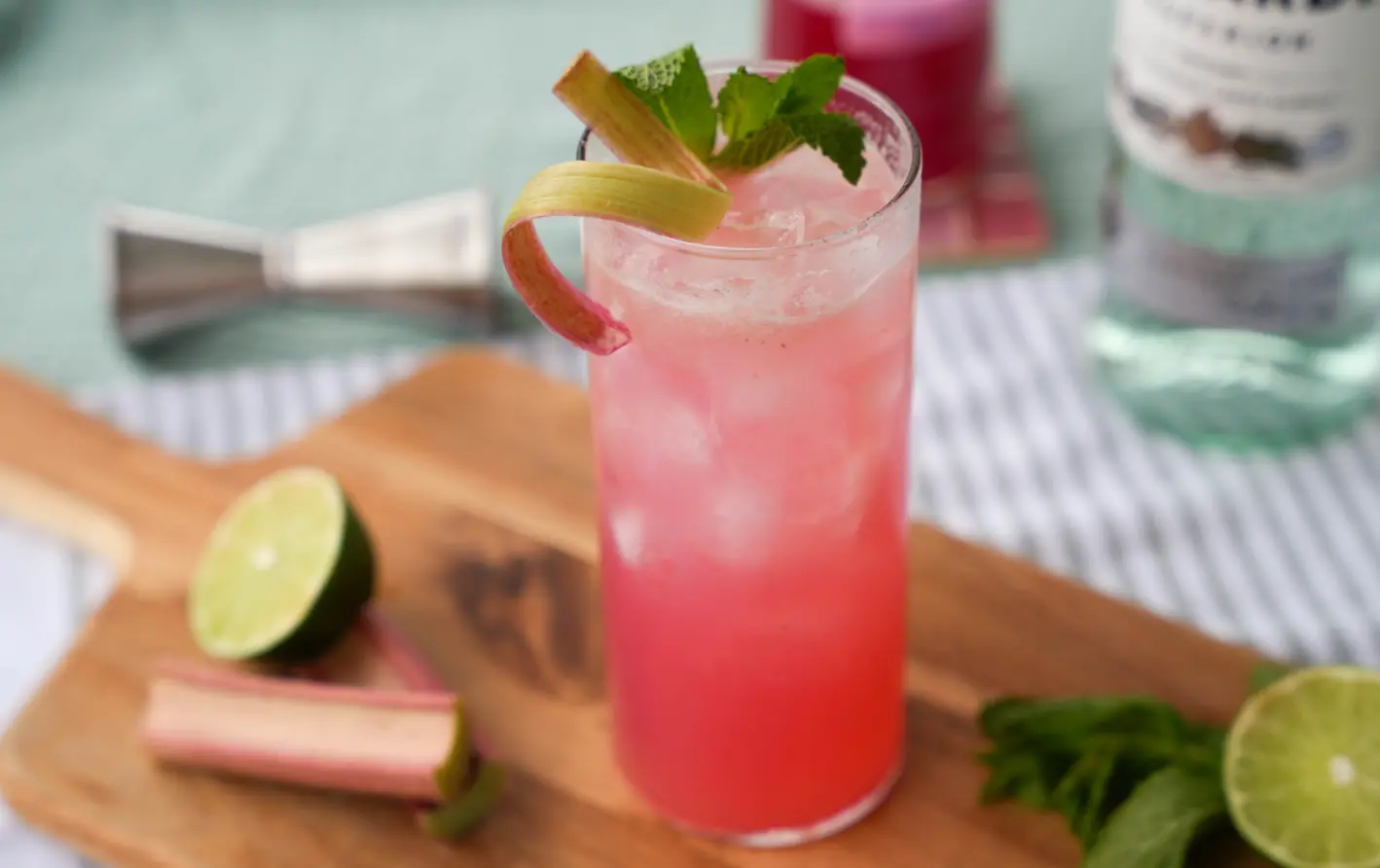 Rhubarb Mojito Cocktail