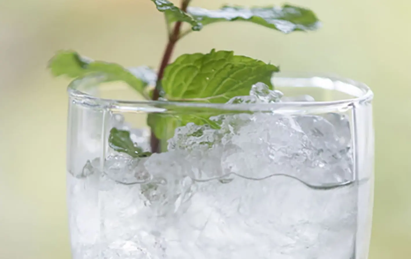 SRD Julep
