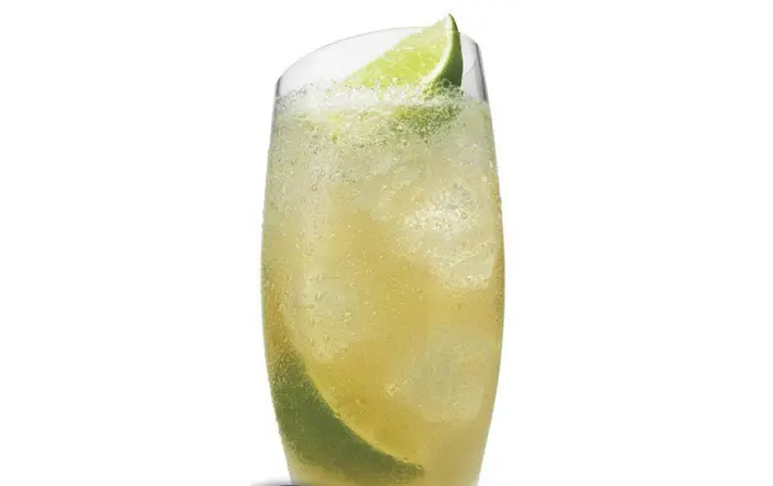 SVEDKA Mule