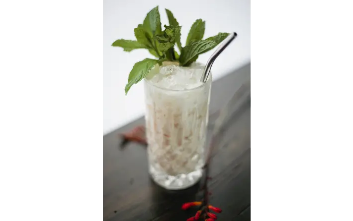 Vespertino Mint Julep
