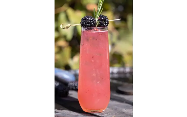 Blackberry vodka cocktail
