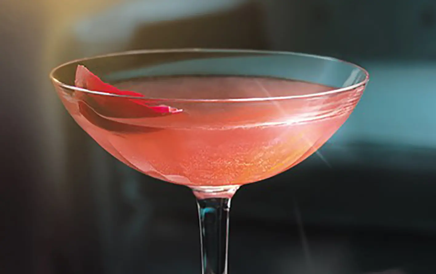Grey Goose L’Orange Winter Sangria Martini Cocktail - Liquor.com