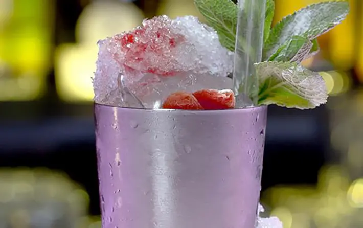 Watermelon Julep