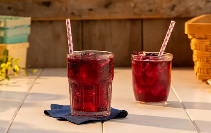 Maine Blueberry Fizz