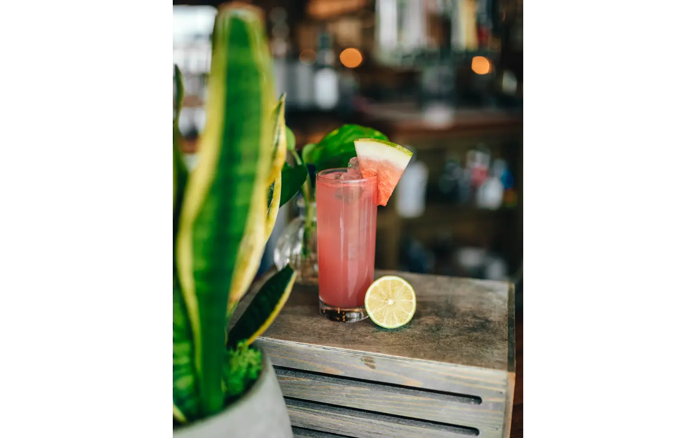 Watermelon Citrus Aperol Spritzes 