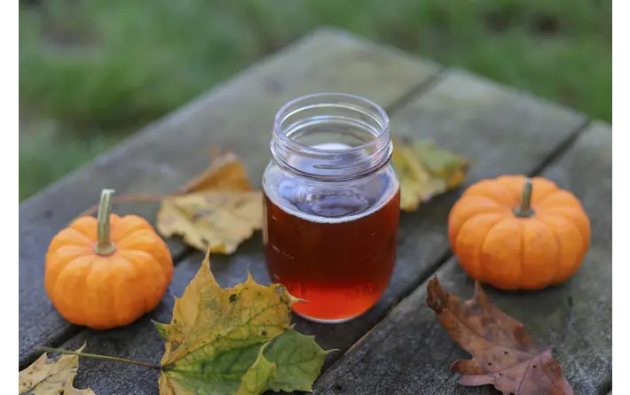 Pumpkin Spice Mocktail