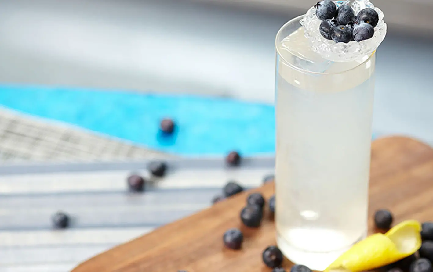 Blueberry Vodka & Soda
