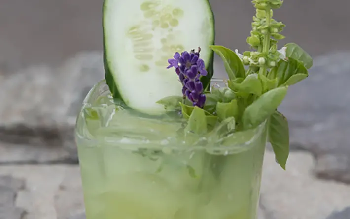 Green Garden