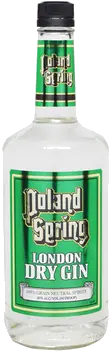 POLAND SPRING GIN