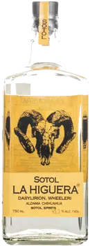 LA HIGUERA WHEELERI
