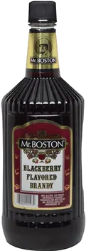 MR BOSTON BLACKBERRY BRANDY TRV