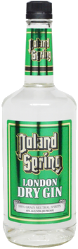 POLAND SPRING GIN
