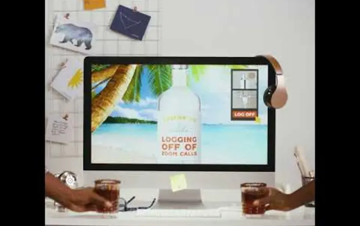 Logging Off of Zoom Calls | Maine Spirits