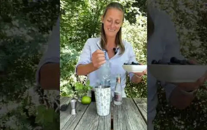 Cocktails with Katya - Blueberry Vodka Mojito