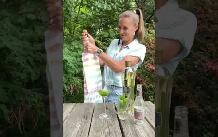 Cocktails with Katya - Hugo Spritz